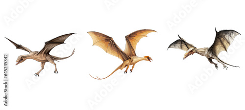nature pterodactyl illustration animal monster, prehistoric ancient, creature beast nature pterodactyl © sevector