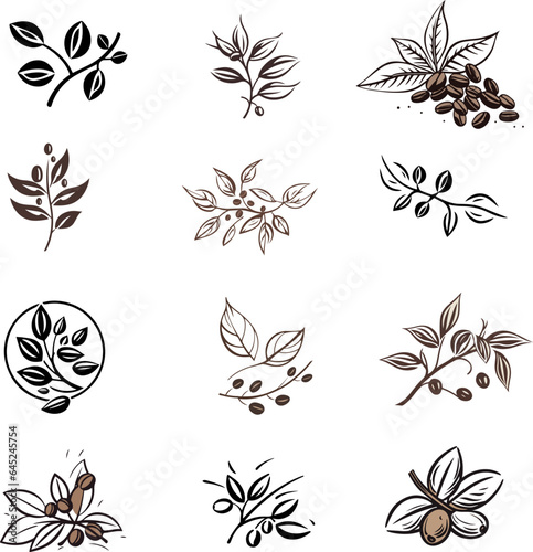 Set of abstract twigs with coffee fruits, grains isolated on white background for design, logo