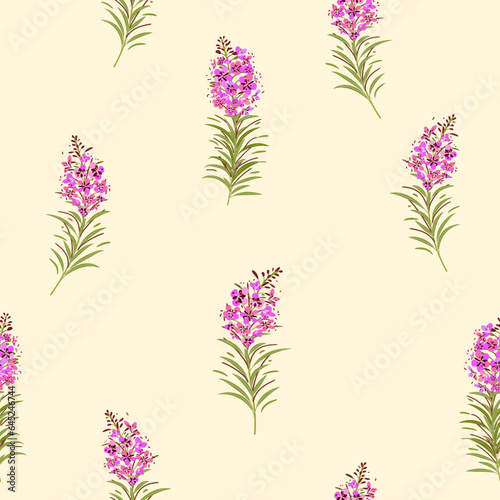 Vector seamless floral pattern with fireweed plant
