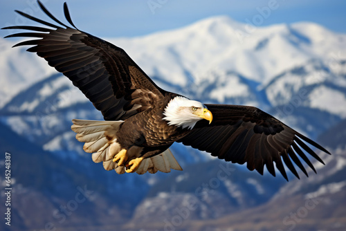 a bald eagle flying in front of a mountain range