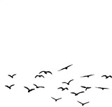 Flying birds silhouettes on white background. Vector illustration. isolated bird flying. tattoo design