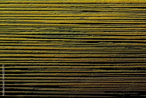 A close-up of a vibrant yellow and black abstract background