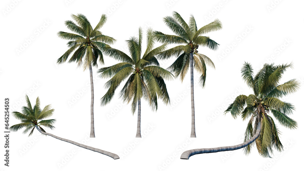 Obraz premium Set of palm trees isolated on a transparent background