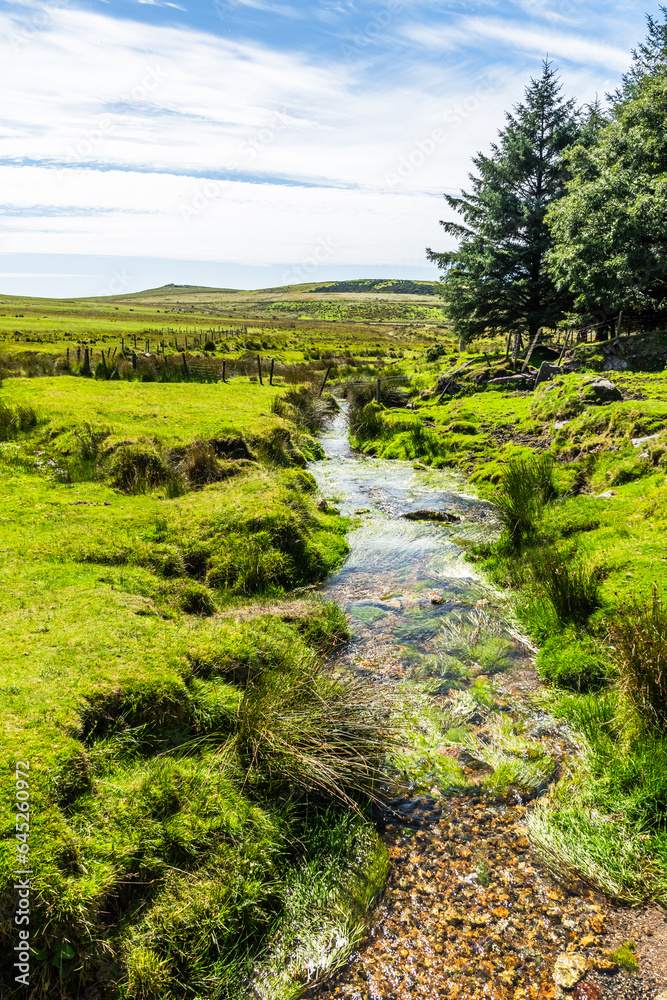 Naklejka premium Creek at the foot of Rough Tor in Cornwall, England, UK