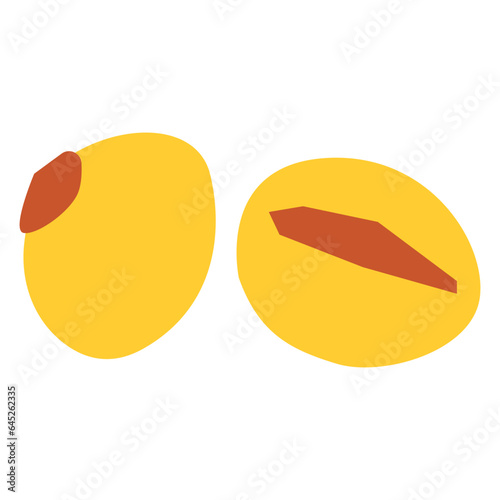 Soybean flat illustration