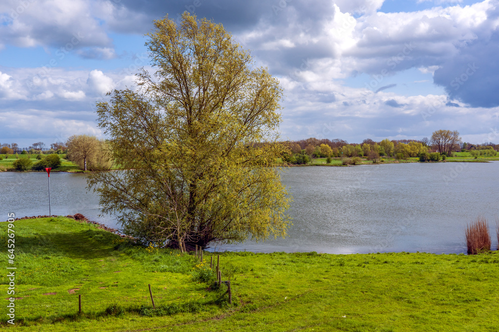 Spectacular cloudy skies above these wide views along the river De Lek Spectacular cloudy skies above these wide views along the river De Lek