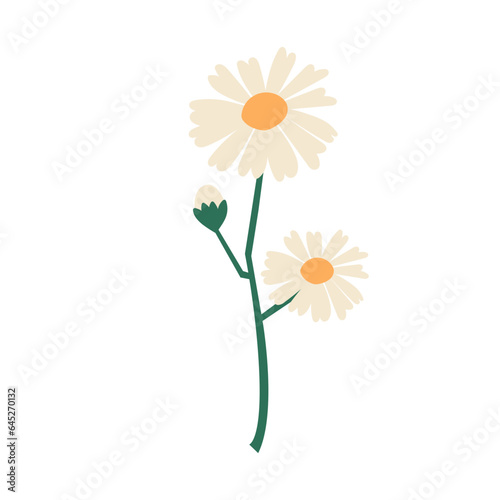 White flower flat illustration