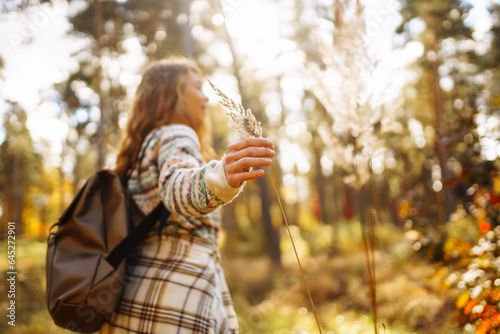 Hand of a stylish tourist with a backpack holds to the soft golden pampas grass in the autumn season. Beautiful woman enjoys studying nature in the autumn forest. Adventure, vacation concept.
