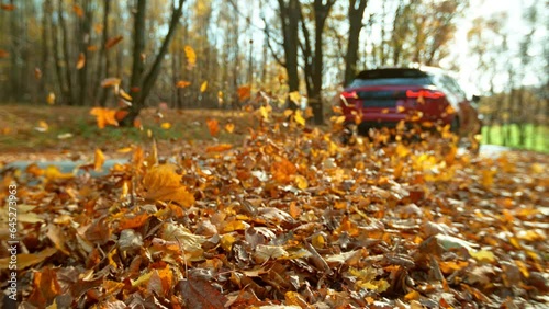 Wallpaper Mural Super Slow Motion of Closeup of Car Running in Autumn Leaves. Filmed on High Speed Cinema Camera. Speed Ramp Effect. Torontodigital.ca