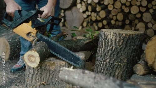 A man cuts a tree with a chainsaw to run home. A tree blank for chopping with an ax. High quality 4k footage photo