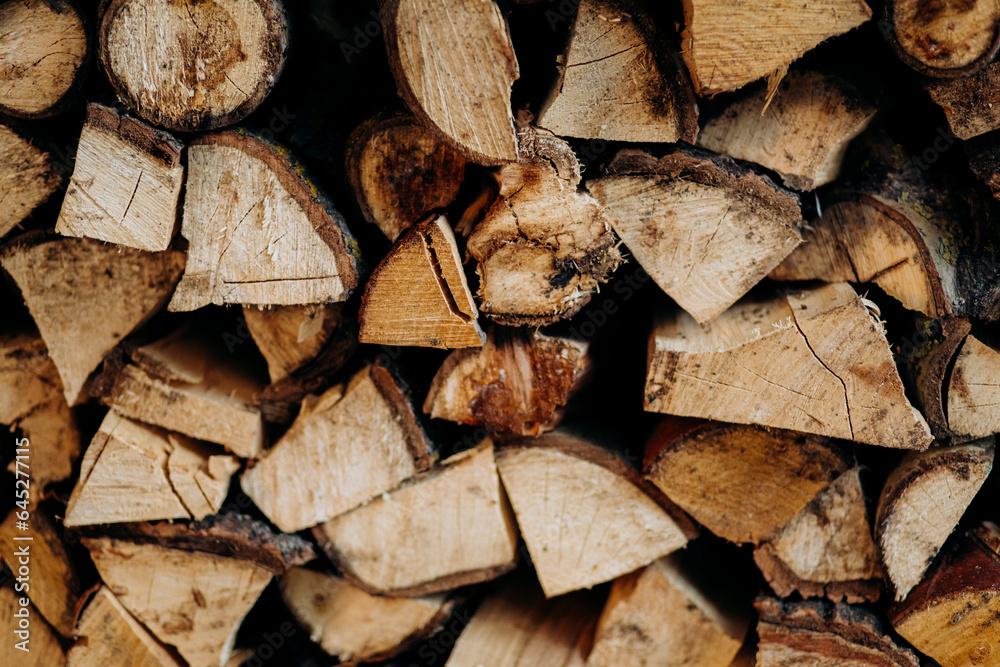 Beautifully arranged firewood for winter preparations Beautifully arranged firewood for winter preparations