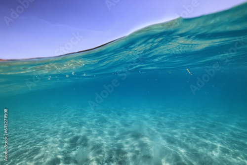 sandy beach underwater photo background abstract horizontal panorama of the blue sea