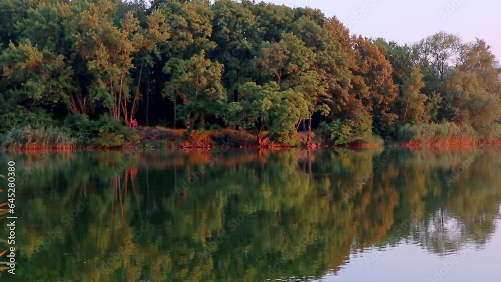 Calm sunrise, dawn on river with reflection on mirror water. Trees and reeds in warm sunlight, nature loop footage Calm sunrise, dawn on river with reflection on mirror water. Trees and reeds in warm sunlight, nature loop footage