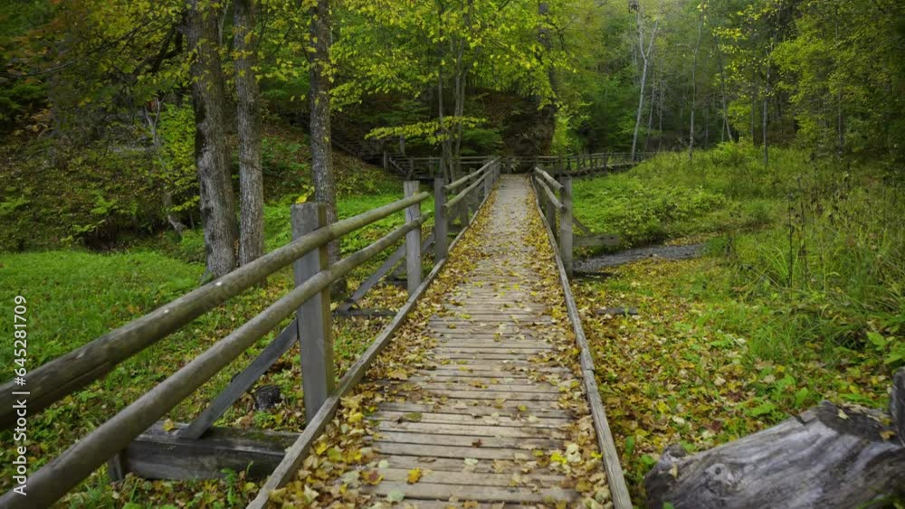 Autumn walk along the trail in the Gauja National Park. Yellow leaves on trees and grass. Hiking trails for active walks. Sigulda, Latvia Autumn walk along the trail in the Gauja National Park. Yellow leaves on trees and grass. Hiking trails for active walks. Sigulda, Latvia