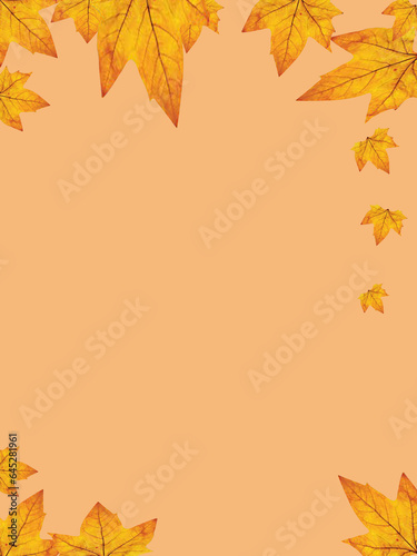 Beautiful Delicate Falls Leaves on a Warm Background