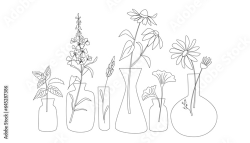 Glass bottle with medical herbs on white background. Line art style. Lavender, camomile, echinacea, ginkgo .Vector illustration