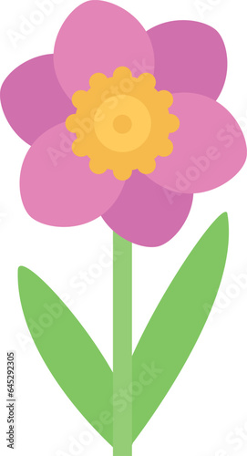 design vector image icons narcissus
