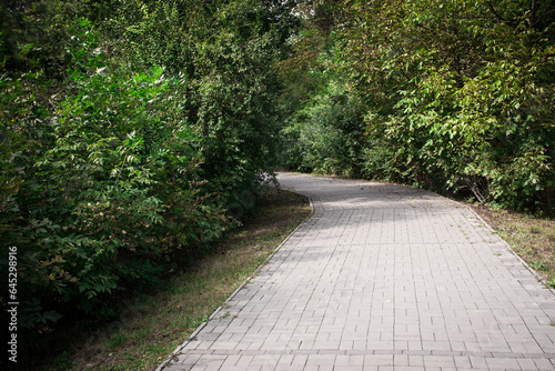 Picturesque forest path made of tiles in the city park. Image for your creative design or illustrations about nature and leisure.