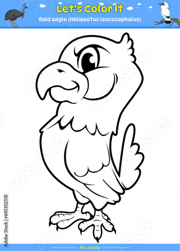 Lets color it bald eagle Bird Cartoon