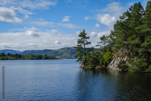 Tree outcrop in lake view