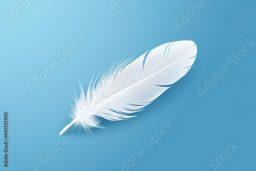 White wing copy feathers pattern soft background space animal bird blue abstract nature fluffy