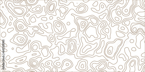 Abstract white topography vector background. Line topography map design. Abstract colorful topographic contours map background,Vector contour topographic map. Cartography texture abstract banner use.. © Kainat 