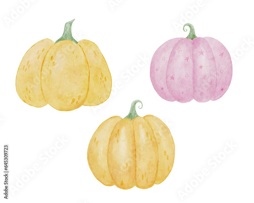 Halloween watercolor set with autumn pumpkins on white background. 