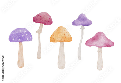 Watercolor set with hand-painted mushrooms illustration on white background. 