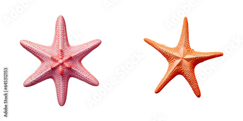 Isolated starfish on a transparent background