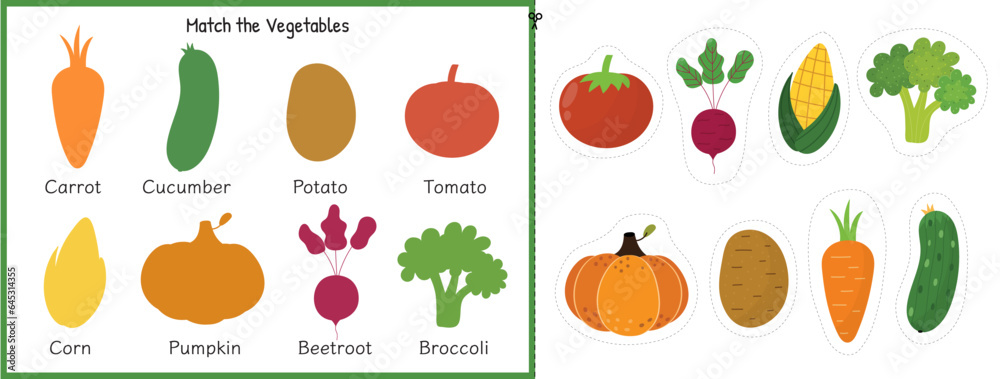 Match the vegetable activity sheet for kids. Matching game for school and preschool. Learning vegetables for toddlers. Cut and glue worksheet. Vector illustration
