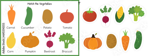 Match the vegetable activity sheet for kids. Matching game for school and preschool. Learning vegetables for toddlers. Cut and glue worksheet. Vector illustration