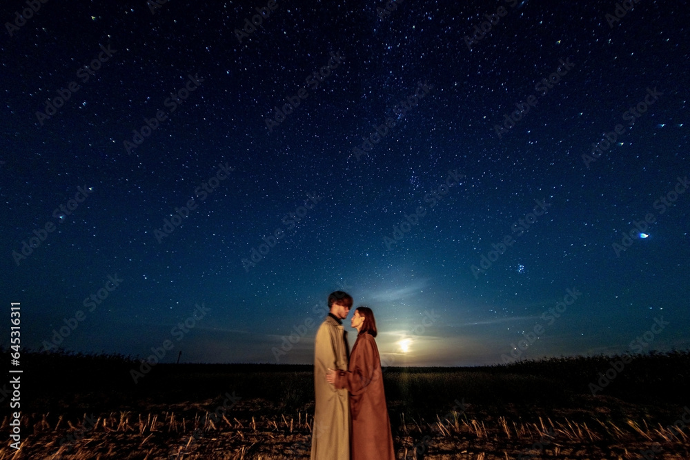 silhouettes of a couple in love at night against the backdrop of the ...