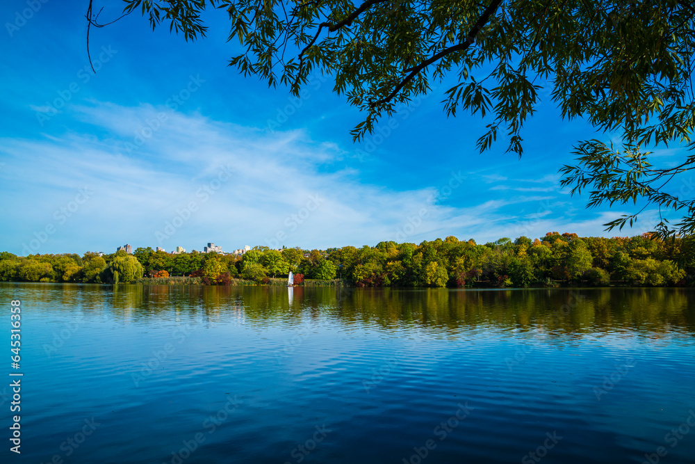 Germany, Stuttgart panorama view colorful trees coast max eyth see lake water autumn season sunset under trees