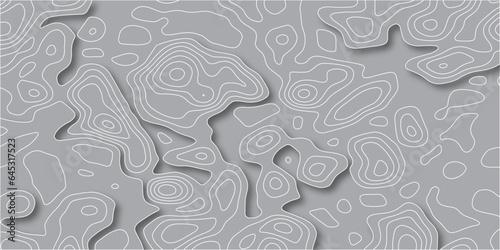 Topographic map background concept with space for your copy.Gray and white wave abstract topographic map contour background.Abstract lines  paper texture Imitation of a geographical map shades.