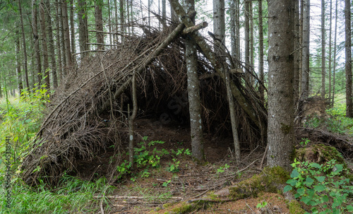Bushcraft hut shelter in the forest made from branches and vegetation.