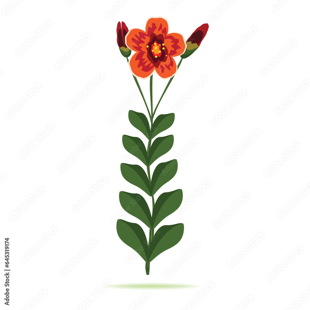 Beautiful orange flower with buds isolated on white, vector illustration
