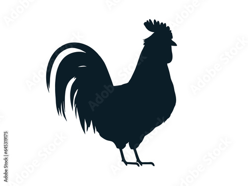 Beautiful rooster black silhouette isolated on white, vector illustration