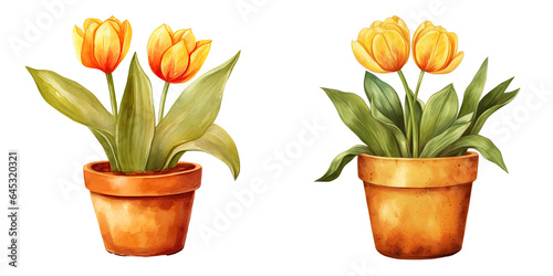 Watercolor illustration of a yellow tulip in a brown pot on a transparent background #645320321