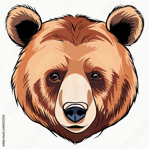 head of a bear