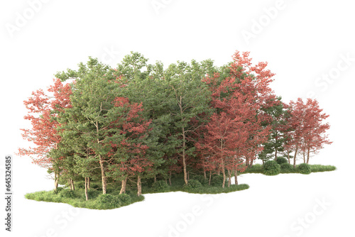 Realistic forest isolated on transparent background. 3d rendering - illustration