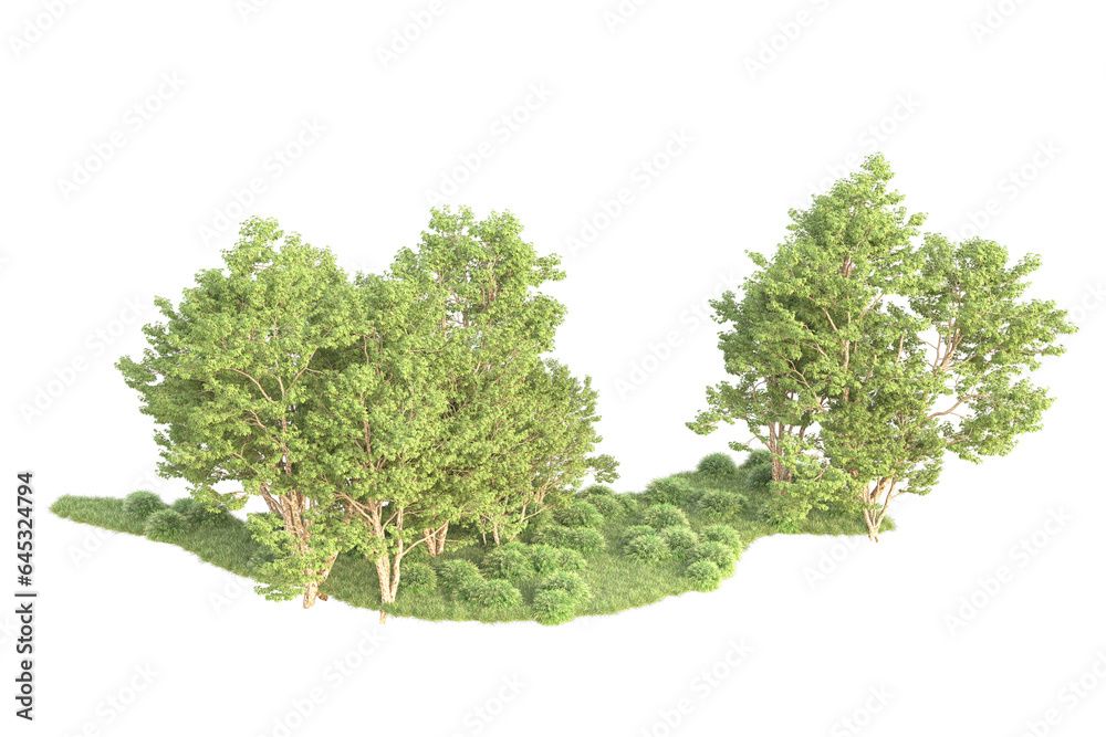 Obraz premium Realistic forest isolated on transparent background. 3d rendering - illustration