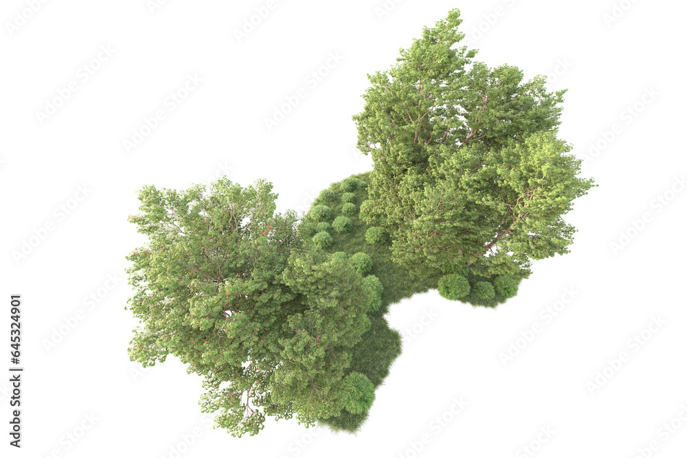 Realistic forest isolated on transparent background. 3d rendering - illustration Realistic forest isolated on transparent background. 3d rendering - illustration