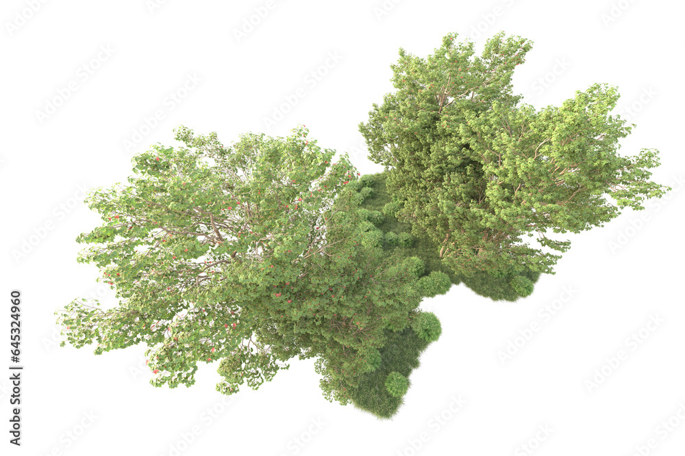 Fototapeta premium Realistic forest isolated on transparent background. 3d rendering - illustration