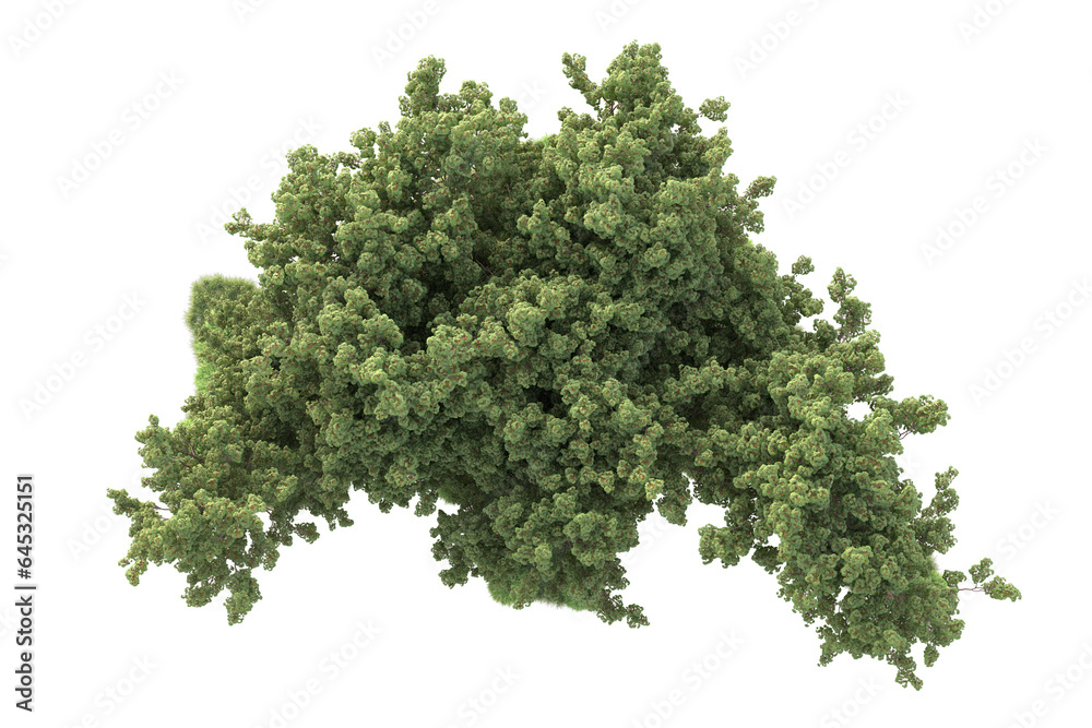 Obraz premium Realistic forest isolated on transparent background. 3d rendering - illustration
