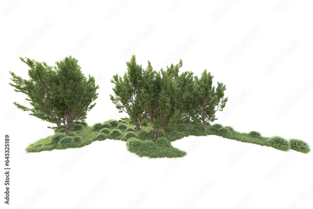 Obraz premium Realistic forest isolated on transparent background. 3d rendering - illustration