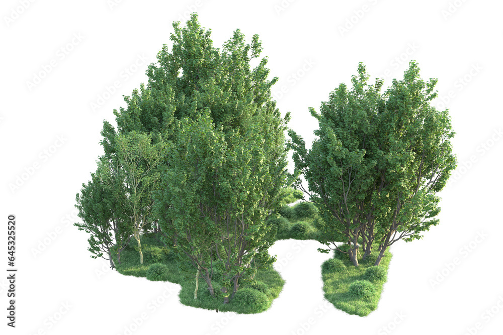 Realistic forest isolated on transparent background. 3d rendering - illustration Realistic forest isolated on transparent background. 3d rendering - illustration