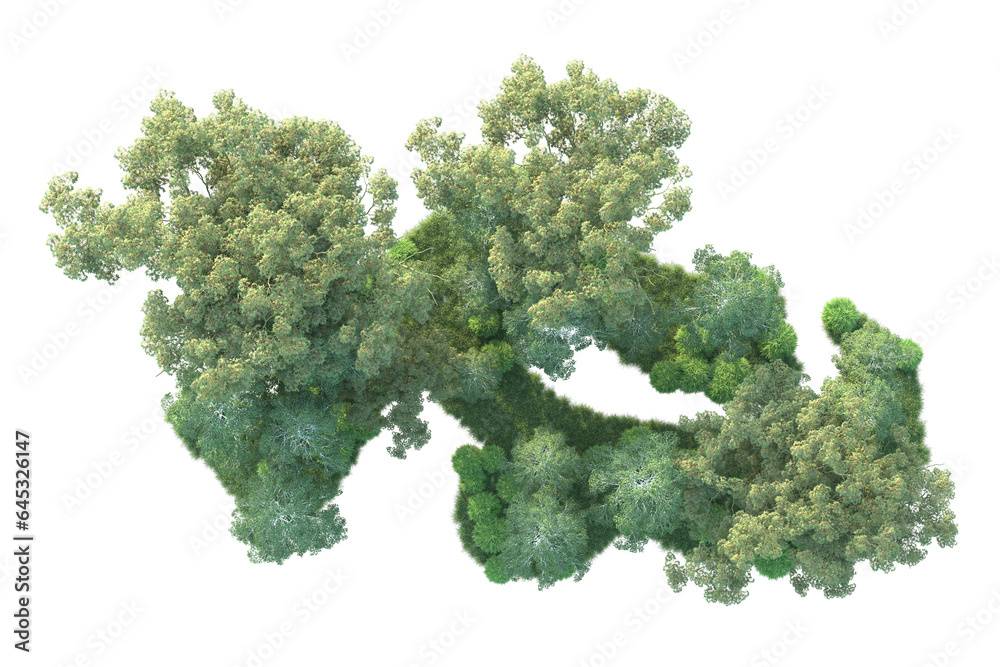 Realistic forest isolated on transparent background. 3d rendering - illustration