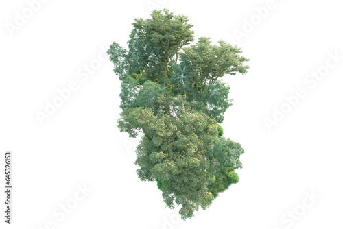 Realistic forest isolated on transparent background. 3d rendering - illustration