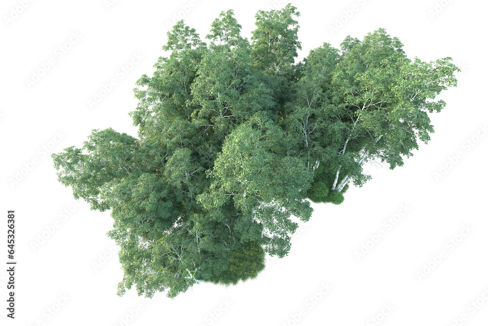 Realistic forest isolated on transparent background. 3d rendering - illustration Realistic forest isolated on transparent background. 3d rendering - illustration