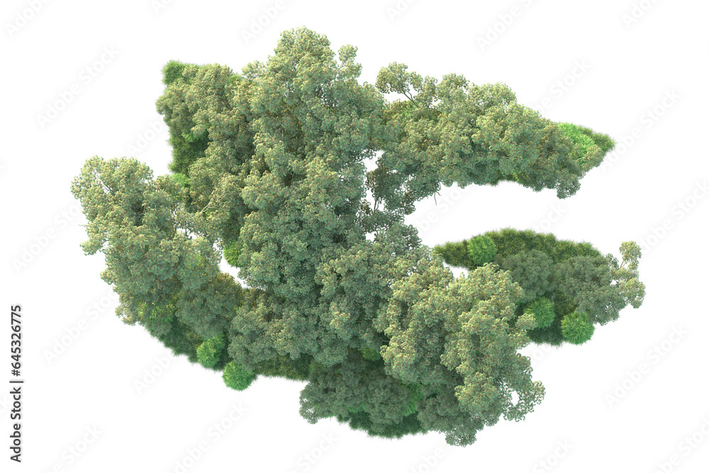 Realistic forest isolated on transparent background. 3d rendering - illustration Realistic forest isolated on transparent background. 3d rendering - illustration